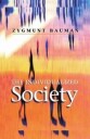 Bauman Z The Individualized Society