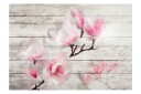 Fototapet Gentleness Of The Magnolia 300x210 - Artgeist sp. z o. o.