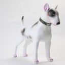 Diamanthalsbånd Til Hund Og Katt