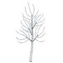 vidaXL Vegghengt LED-juletre 180 cm 200 LED-lys Kaldhvit Stål Svart
