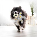 Ikke Definert Kong Wild Knots Bear S/M Os Os