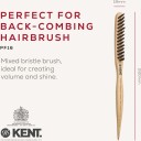 Kent Brushes Back-Combing Brush T Waves