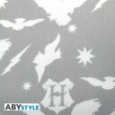 Harry Potter Pute Hedwig