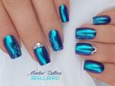 Brillbird Norge Chrome Pigment  Pulver Blue Velvet