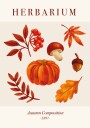 Herbarium Autumn Composition  Plakat Plakat / 40x50cm