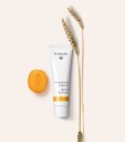 Dr. Hauschka Aprikos Dagkrem 30 ml for Tørr Hud - Parabenfri og Duftfri