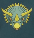 DYR Kap. Collegegenser   Dyrebelg   Karambola Dinosaur   DYR   3 år (98)   Collegegenser Armygrønn Grønn Gul