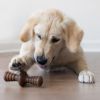 Benebone Zaggler Peanut M 8Cm (854111004576)