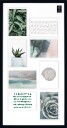 Nielsen Design Collage Fotoramme   8x10x15 8 FotoSort