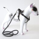 Selesett Til Hund: Sele Og Hundekobbel