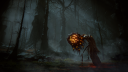 ELDEN RING Shadow of the Erdtree Collector Edition PS5