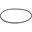 Advantix O-ring
