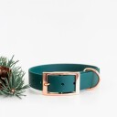 Tyylivoitto Classy Hundehalsbånd Stor Modell Grønn (Xl)