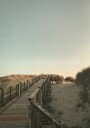 To The Beach Plakat Plakat / 70x100cm