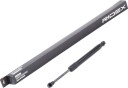 RIDEX 219G0894 Baklukedemper
