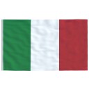 vidaXL Italiensk flagg og stang 6,23 m aluminium