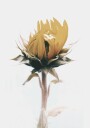 Yellow Sunflower Plakat Plakat / 100x150cm
