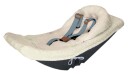 Babyseteinnlegg for Winther Dolphin Tilhengere