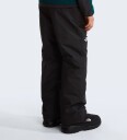 The North Face Skibukser - B Freedom - TNF Black - The North Face - 18-20 år - Ski Pants - Svart