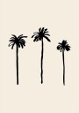 Palm Trees Poster Plakat / 40x50cm