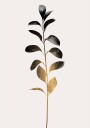 Monochromatica No.9   Dark Gold Plakat / 50x70cm