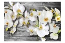 Fototapet Callous Orchids III 300x210 - Artgeist sp. z o. o.