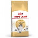 Royal Canin Norsk Skogkatt 10 kg Tørrfôr til Voksne Katter