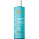 Moroccanoil Scalp Balancing Sjampo 250 ml - Beroligende og Fuktighetsgivende