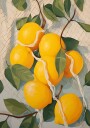 Fresh Lemons in Netting Citrus Fruit Plakat Plakat / 30x40cm