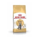 Royal Canin British Shorthair Tørrfôr for voksne katter 10 kg