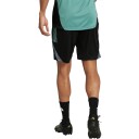FC Copenhagen Treningsshorts Svart 2XL