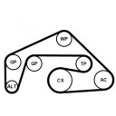 CONTITECH 6PK2415K1 Kileremsett
