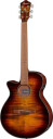Ibanez AEG70L-TIH