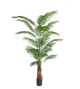 Mr Plant Arekapalme 240 cm