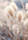 Frosted Elegance Poster Plakat / 40x50cm