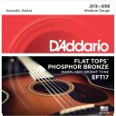 Daddario EFT17