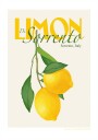 Pandclimondisorrento Copy Poster Plakat / 21x30cm