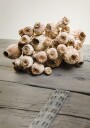 Rustic Poppy Pods Plakat / 21x30