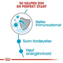 Royal Canin Mini Puppy Tørrfôr til Valper 8 kg - Hundefôr for Små Raser