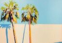 Palm Trees Plakat Plakat / 100x150cm
