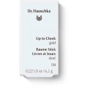 Dr. Hauschka Lip to Cheek 04 Gyllen Foundation 6 g