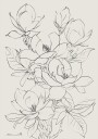 Magnolia Tree Plakat / 100x150cm