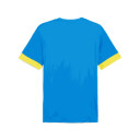 Puma teamGOAL Matchday Jersey fotballtrøye junior Blå 116