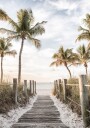 Tropical Beach Path Plakat Plakat / 21x30cm
