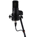 Warm Audio Wa-8000 Rørmikrofon