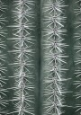 Pictufy Studio Iii Cactus green Plakat Plakat / 21x30cm