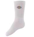 Dickies Valley Grove - White - 43-46