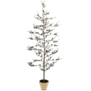 Mr Plant Lerketre 180 cm
