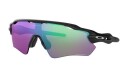 Oakley Radar EV Path Polished Black w/ Prizm Golf