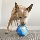 Kong Rewards Ball 12Cm Ø